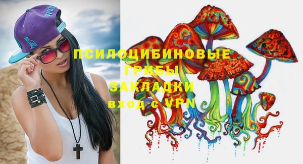 метадон Верея