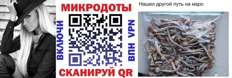 Галлюциногенные грибы Psilocybe  Купить закладки  Минеральные Воды 